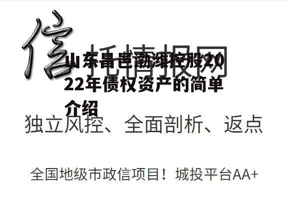 山东昌邑渤潍控股2022年债权资产的简单介绍