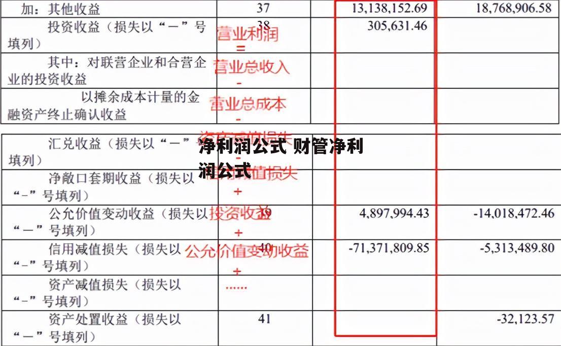 净利润公式 财管净利润公式