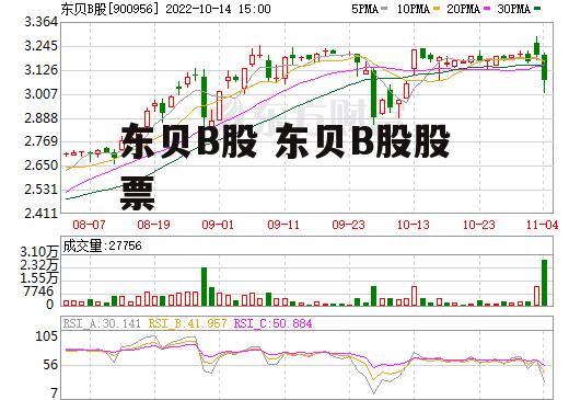 东贝B股 东贝B股股票