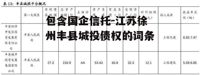 包含国企信托-江苏徐州丰县城投债权的词条