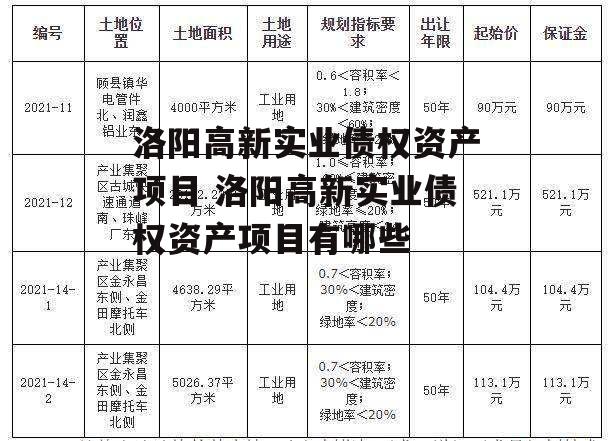 洛阳高新实业债权资产项目 洛阳高新实业债权资产项目有哪些