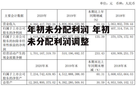 年初未分配利润 年初未分配利润调整