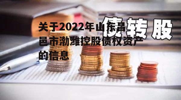 关于2022年山东昌邑市渤潍控股债权资产的信息