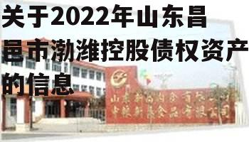 关于2022年山东昌邑市渤潍控股债权资产的信息