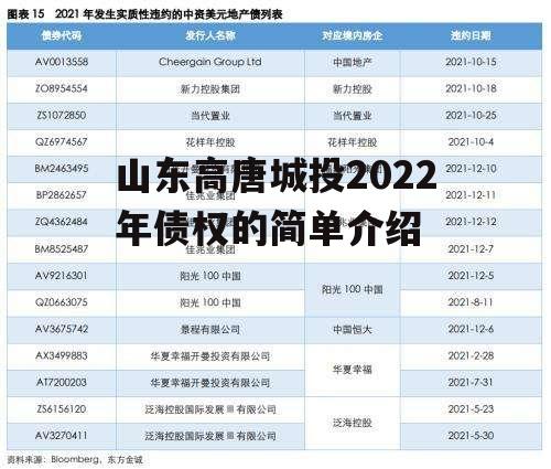 山东高唐城投2022年债权的简单介绍