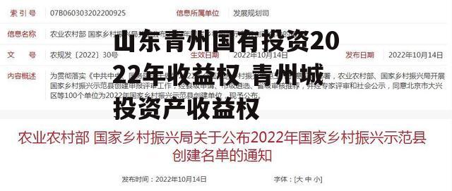 山东青州国有投资2022年收益权 青州城投资产收益权