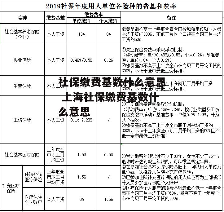 社保缴费基数什么意思 上海社保缴费基数什么意思