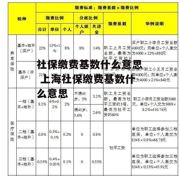 社保缴费基数什么意思 上海社保缴费基数什么意思