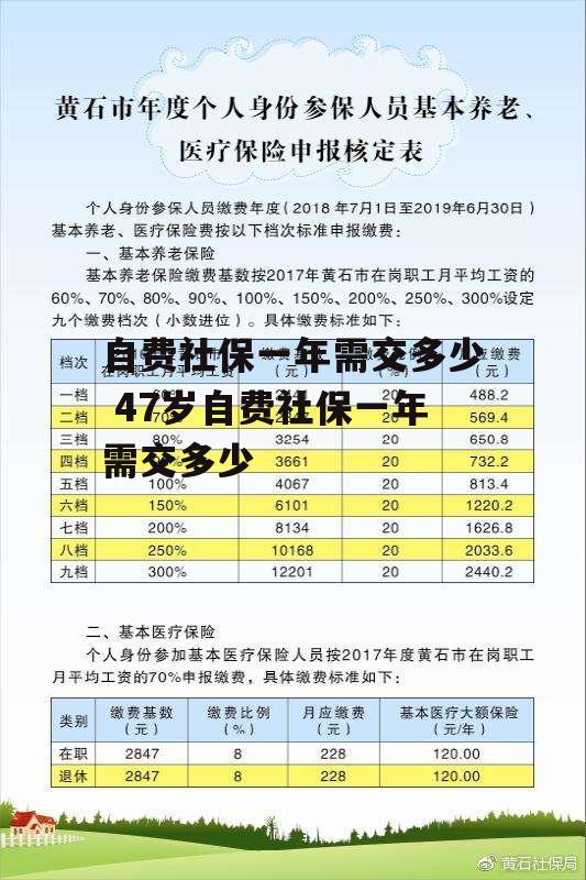 自费社保一年需交多少 47岁自费社保一年需交多少