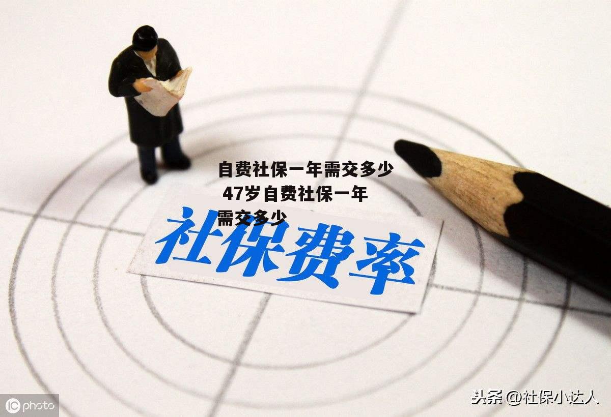 自费社保一年需交多少 47岁自费社保一年需交多少