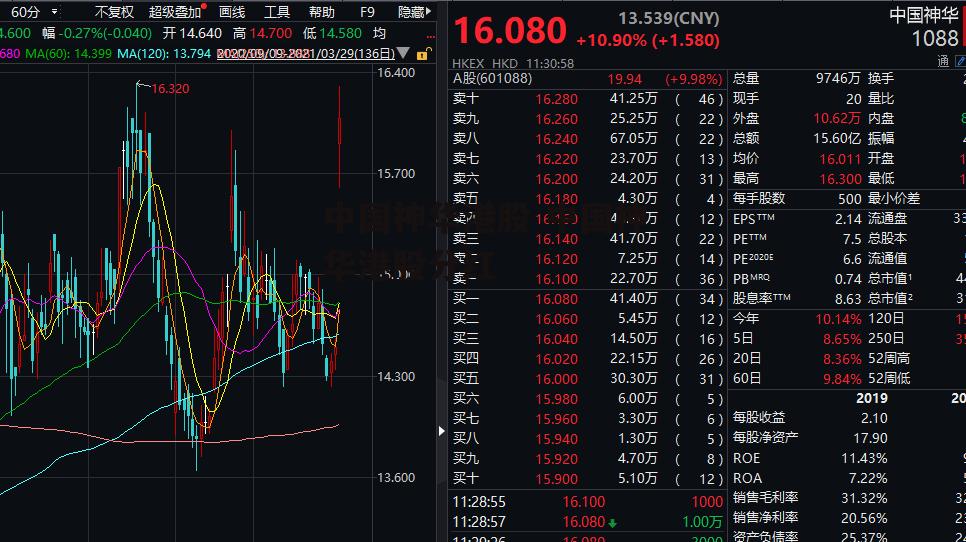 中国神华港股 中国神华港股分红