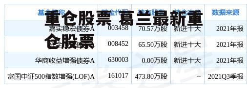 重仓股票 葛兰最新重仓股票