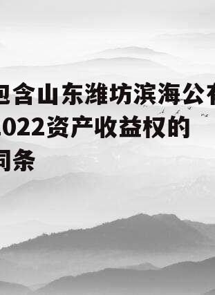 包含山东潍坊滨海公有2022资产收益权的词条