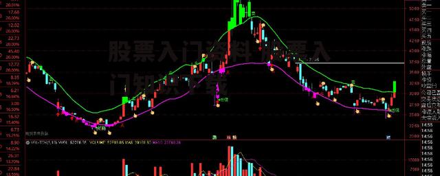 股票入门资料 股票入门知识下载