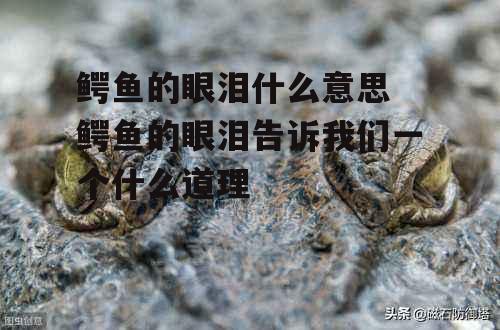 鳄鱼的眼泪什么意思 鳄鱼的眼泪告诉我们一个什么道理