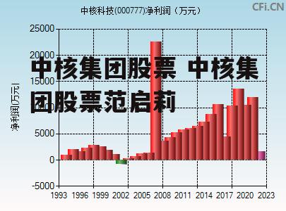 中核集团股票 中核集团股票范启莉