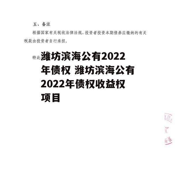 潍坊滨海公有2022年债权 潍坊滨海公有2022年债权收益权项目