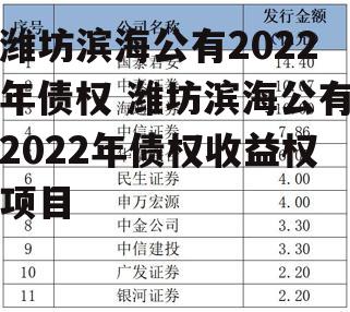 潍坊滨海公有2022年债权 潍坊滨海公有2022年债权收益权项目