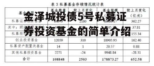 金泽城投债5号私募证券投资基金的简单介绍