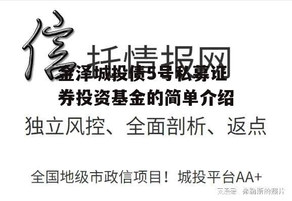 金泽城投债5号私募证券投资基金的简单介绍