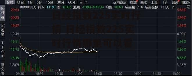 日经指数225实时行情 日经指数225实时行情哪里可以看