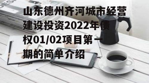 山东德州齐河城市经营建设投资2022年债权01/02项目第一期的简单介绍