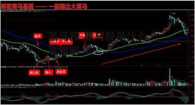 黑马股 黑马股是什么意思啊