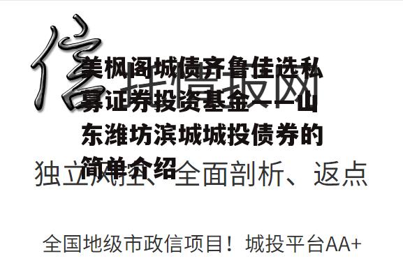 美枫阁城债齐鲁佳选私募证券投资基金——山东潍坊滨城城投债券的简单介绍