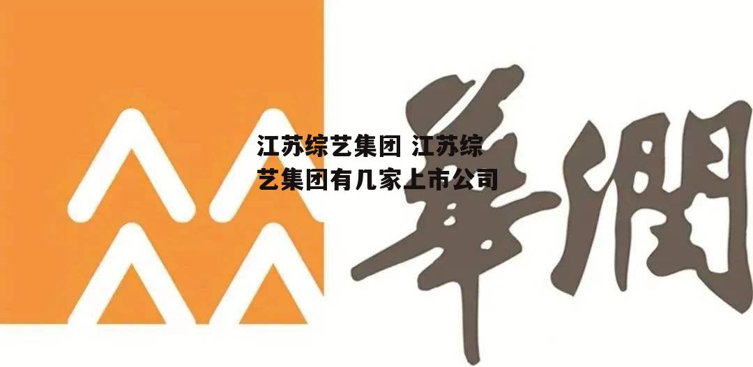 江苏综艺集团 江苏综艺集团有几家上市公司