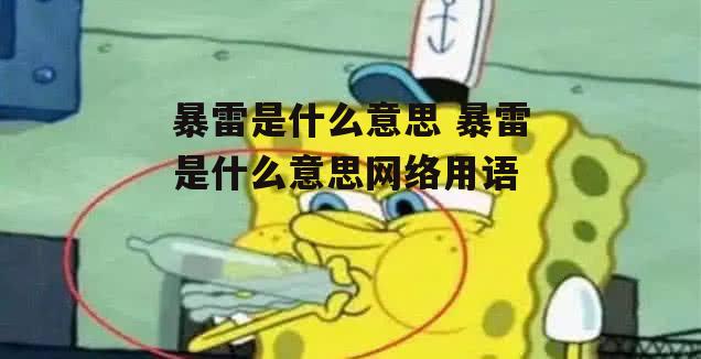 暴雷是什么意思 暴雷是什么意思网络用语