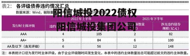 阳信城投2022债权 阳信城投集团公司