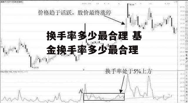 换手率多少最合理 基金换手率多少最合理