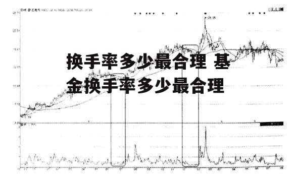 换手率多少最合理 基金换手率多少最合理