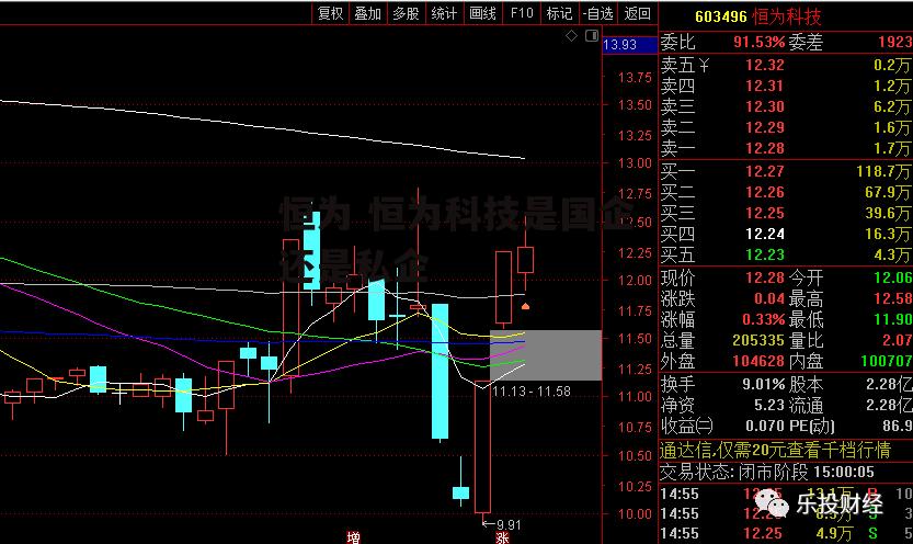 恒为 恒为科技是国企还是私企