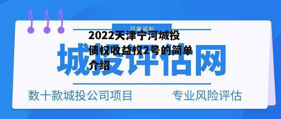 2022天津宁河城投债权收益权2号的简单介绍