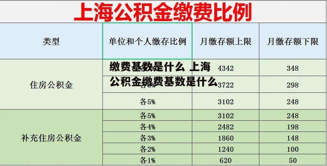 缴费基数是什么 上海公积金缴费基数是什么