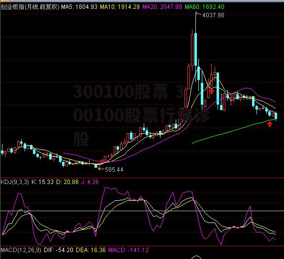 300100股票 300100股票行情诊股