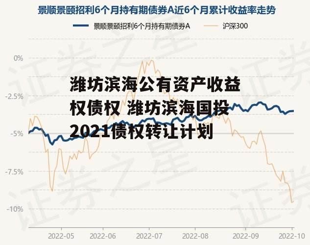 潍坊滨海公有资产收益权债权 潍坊滨海国投2021债权转让计划