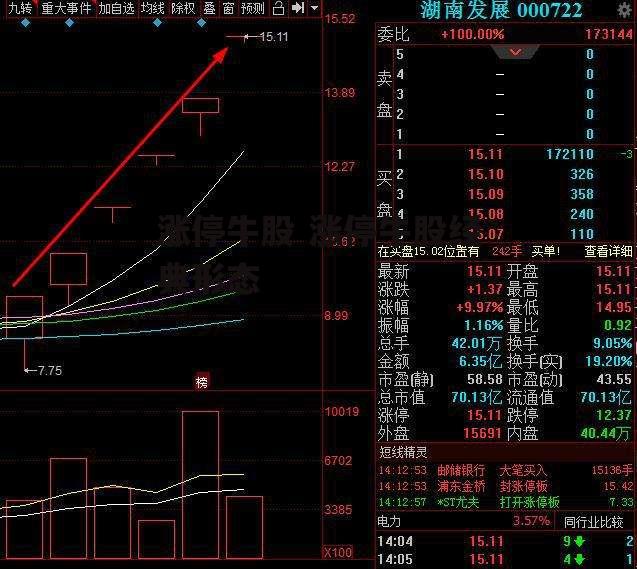 涨停牛股 涨停牛股经典形态