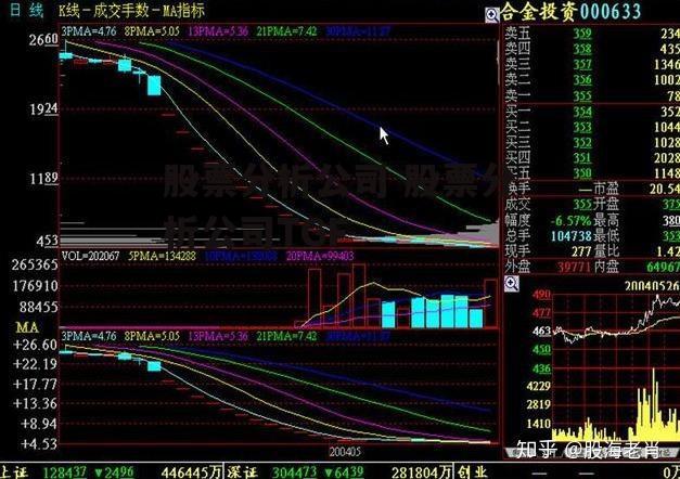 股票分析公司 股票分析公司TGF