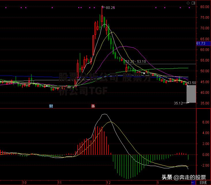 股票分析公司 股票分析公司TGF