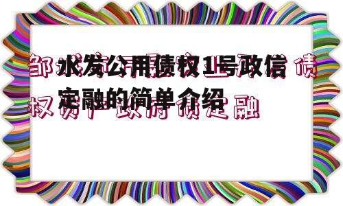 水发公用债权1号政信定融的简单介绍