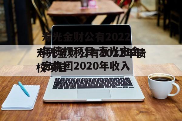 寿光金财公有2022年债权项目 寿光市金宏集团2020年收入