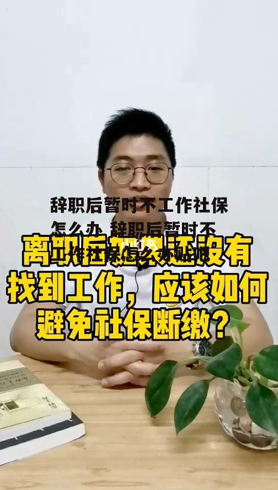 辞职后暂时不工作社保怎么办 辞职后暂时不工作社保怎么办贴吧