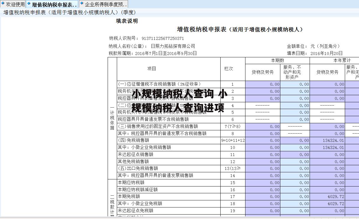 小规模纳税人查询 小规模纳税人查询进项