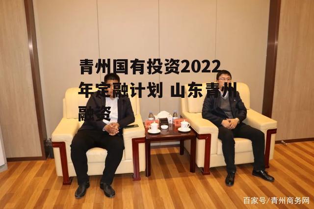 青州国有投资2022年定融计划 山东青州融资