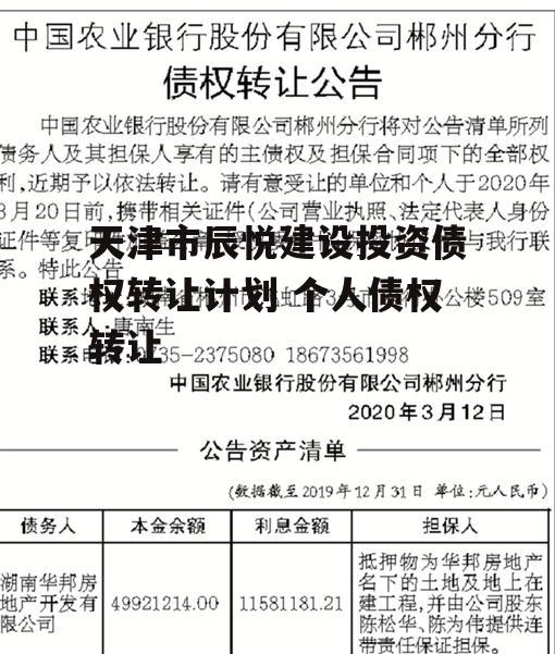 天津市辰悦建设投资债权转让计划 个人债权转让