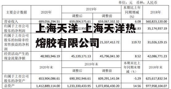 上海天洋 上海天洋热熔胶有限公司