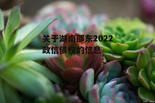 关于湖南邵东2022政信债权的信息