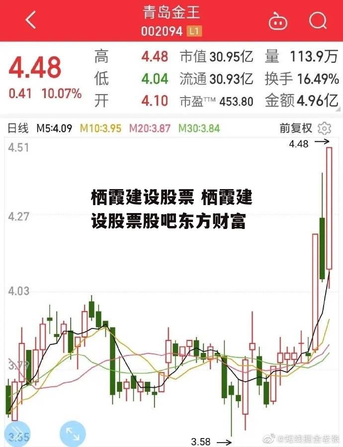 栖霞建设股票 栖霞建设股票股吧东方财富